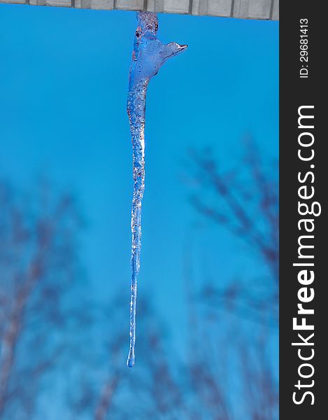 Icicle hanging from the roof on a blue sky background