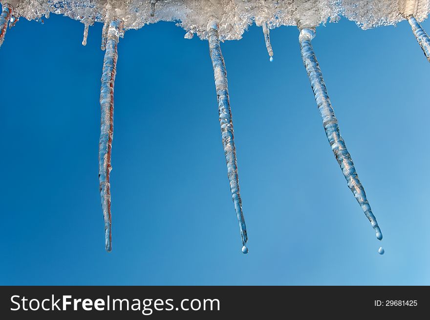 Hanging icicles dripping against the clear sky