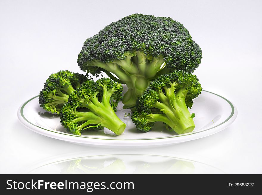 Fresh Broccoli on the white  plate