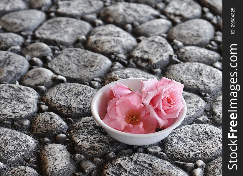 Beautiful delicate pink roses displayed on rocks. Beautiful delicate pink roses displayed on rocks.