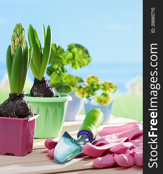 Flowers in flowerpots and shovel against blue sky. Flowers in flowerpots and shovel against blue sky