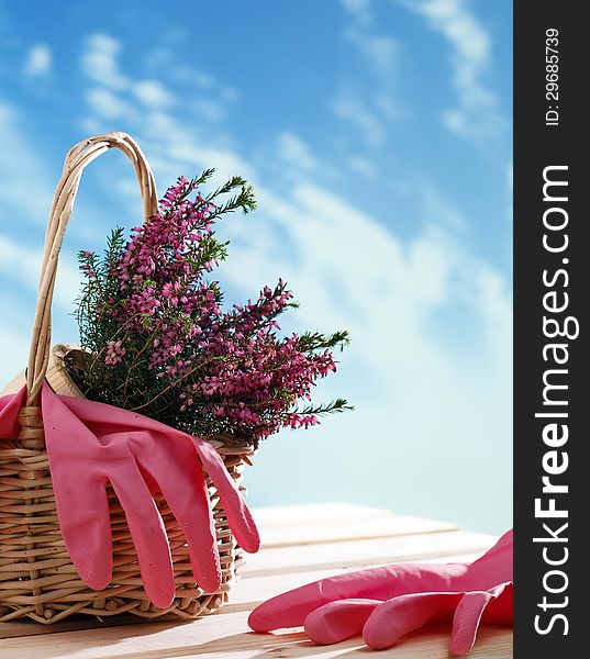 Basket with houseplant, rubber gloves and watering can. Basket with houseplant, rubber gloves and watering can