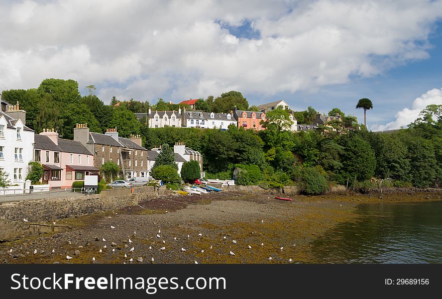 Colorful harbour of Portree in the Skye island, Scotland. Seabird and seagull are on the beach. Colorful harbour of Portree in the Skye island, Scotland. Seabird and seagull are on the beach