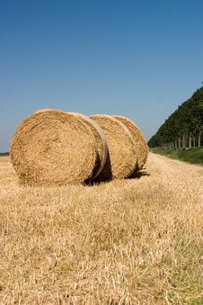 Rolls Of Hay Royalty Free Stock Photos Rolls Of Hay Royalty Free Stock Photos