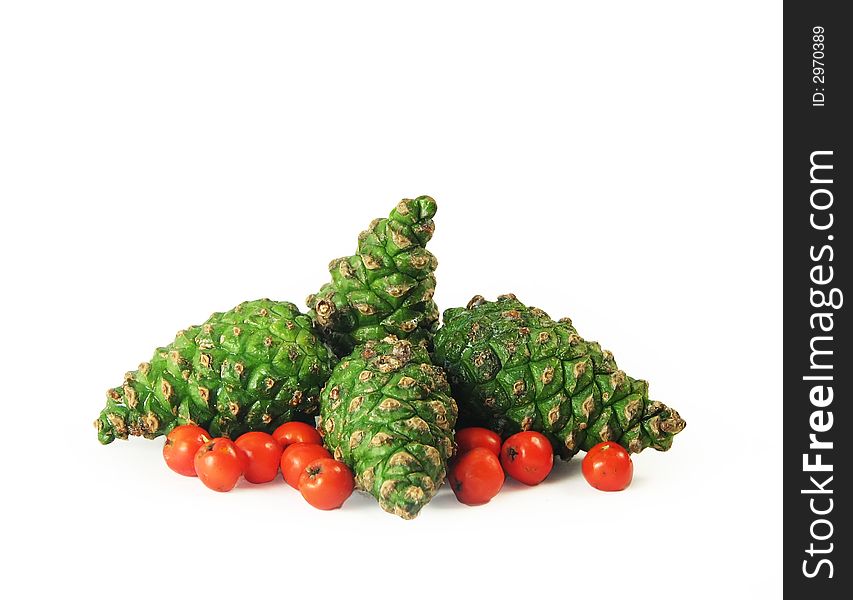 Forest nature composition:  four green pine cones and friuts rowan on wite background. Forest nature composition:  four green pine cones and friuts rowan on wite background