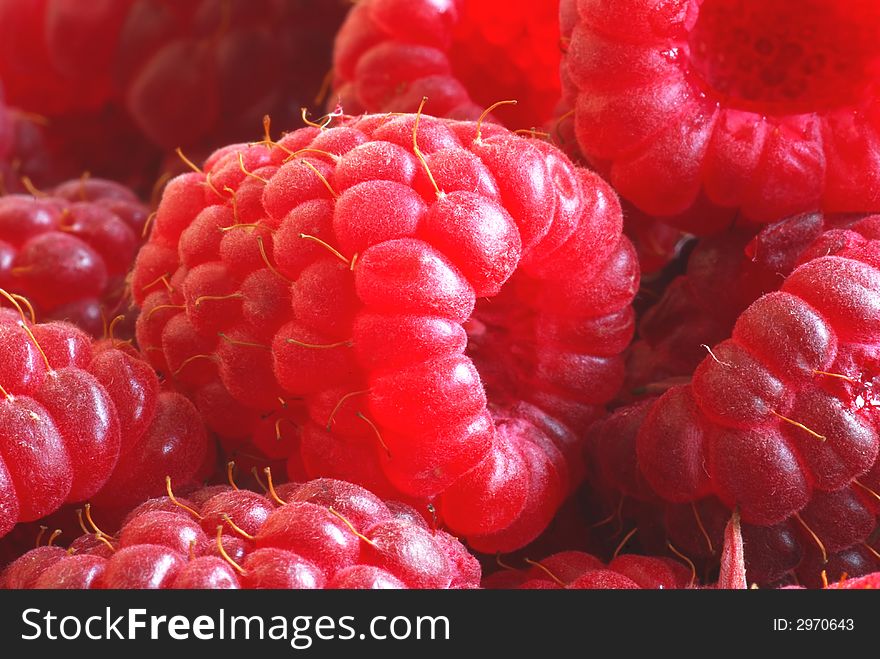 Macro photo of fresh raspberries