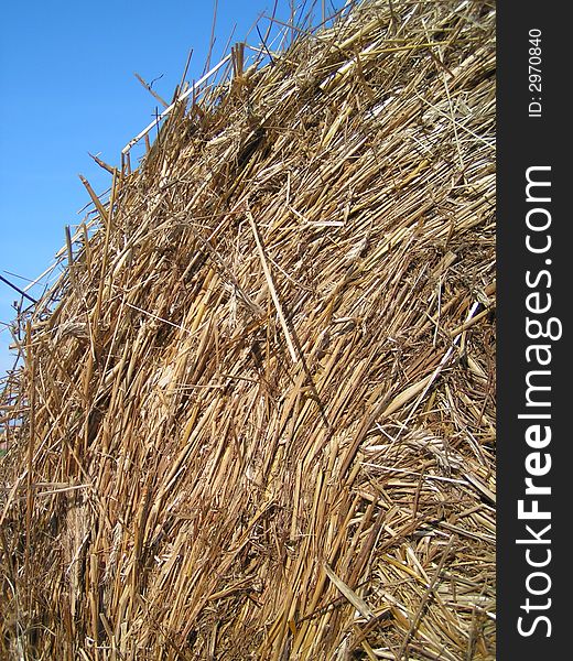 Straw in field in sun