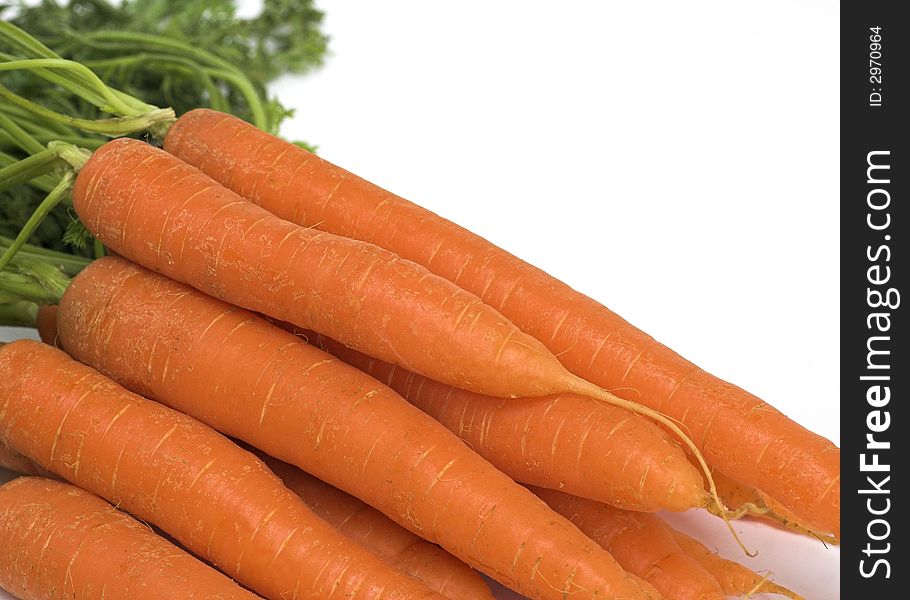 Freshly-pulled and washed organic carrots ready for preparation and cooking.