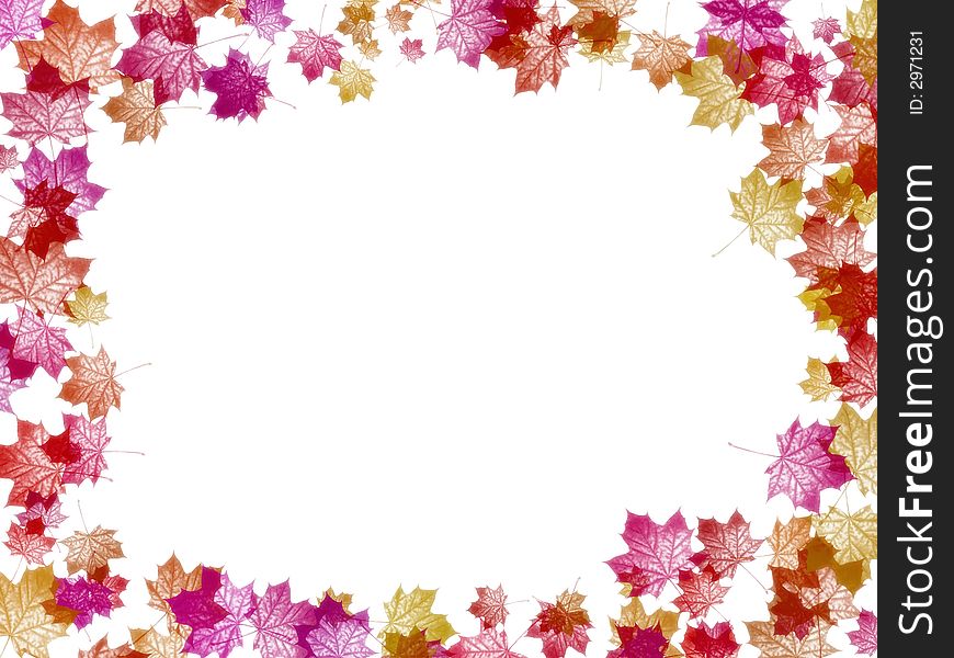 White background with colorful maple leaf frame. White background with colorful maple leaf frame