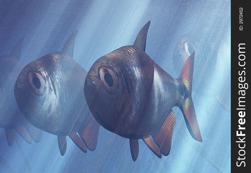 Illustration of underwater life in the sea