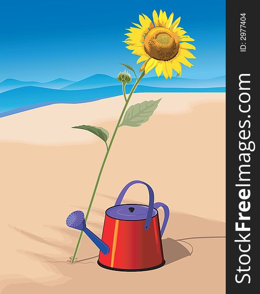 Watering the sunflower with kettle