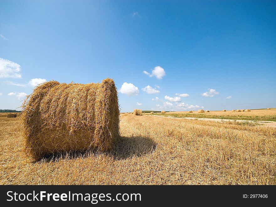 Round haystack in a field on background of the beautiful nature. Round haystack in a field on background of the beautiful nature