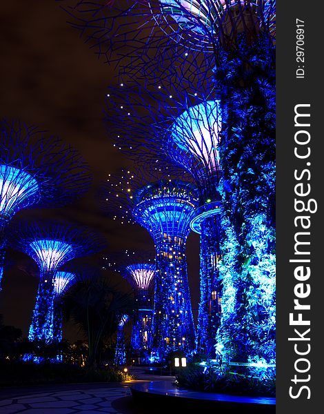 Garden by the bay , the most beautiful garden in singapore. Garden by the bay , the most beautiful garden in singapore