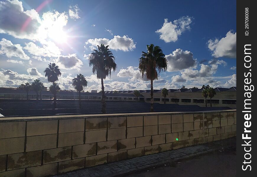 View of part of Seville airport with blue sky with white cotton clouds while the light that sneaks through the clouds illuminates the palm trees.