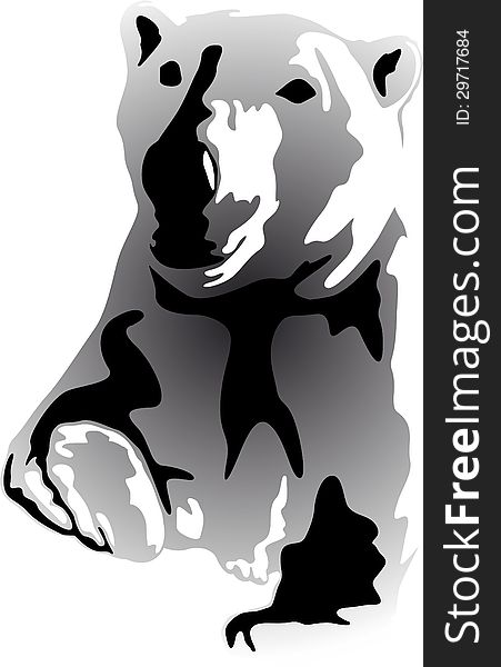 Illustration of a bear. Walking in front of white background