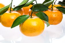 Tangerine Stock Image Tangerine Stock Image