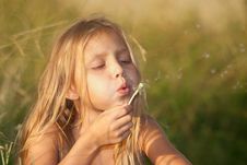 Girl With Dandelion Stock Photography Girl With Dandelion Stock Photography