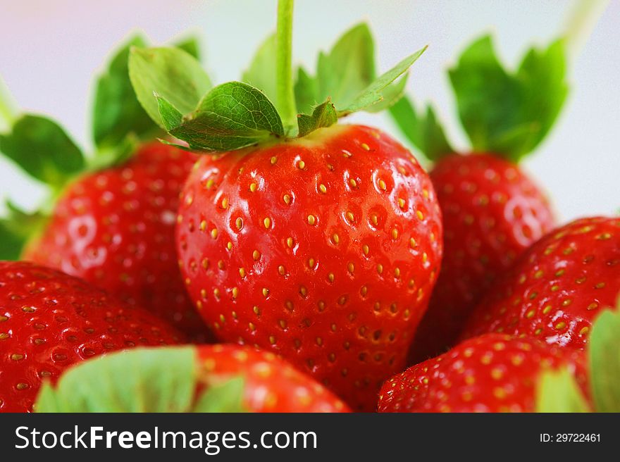 Close-up of delicious red strawberries. Close-up of delicious red strawberries