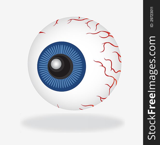 Detailed illustration of an eye on white. Detailed illustration of an eye on white