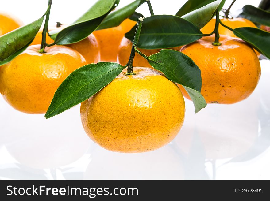 Tangerine orange on white background
