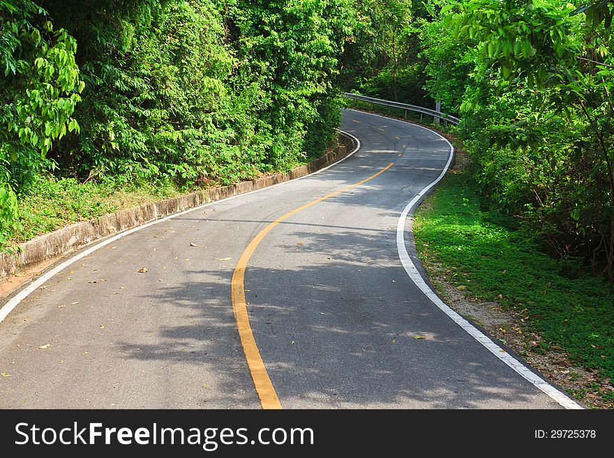 S-Curve asphalt road view in National Park. S-Curve asphalt road view in National Park.