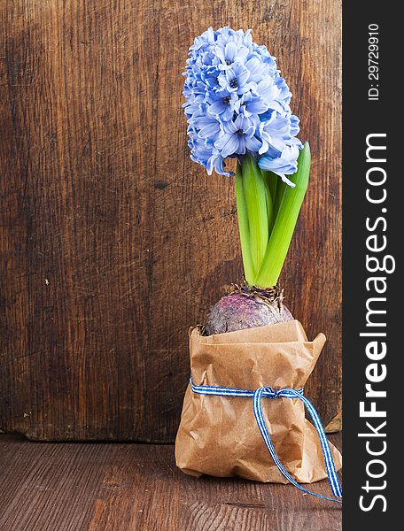 Hyacinth against the old wooden surface. Hyacinth against the old wooden surface
