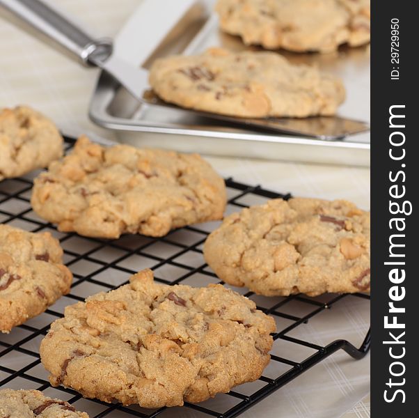 Peanut butter cookies on a cooling rack. Peanut butter cookies on a cooling rack