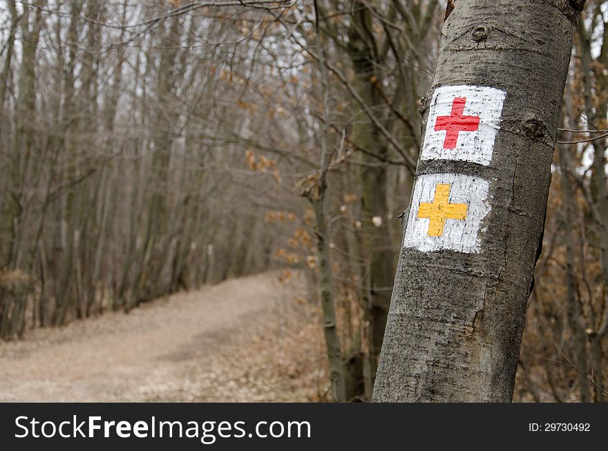 Tourist sign in the forest.