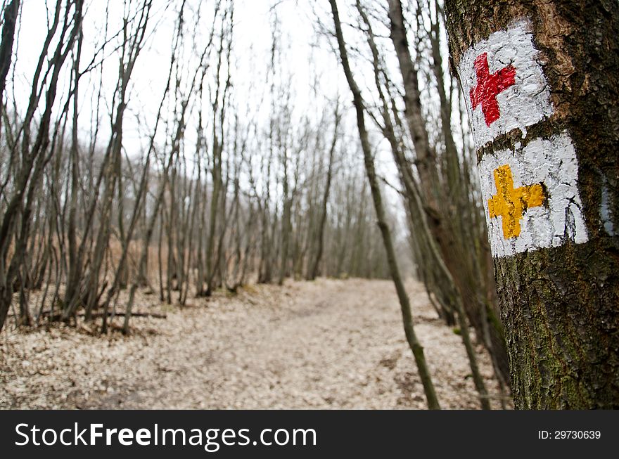 Tourist sign in the forest.