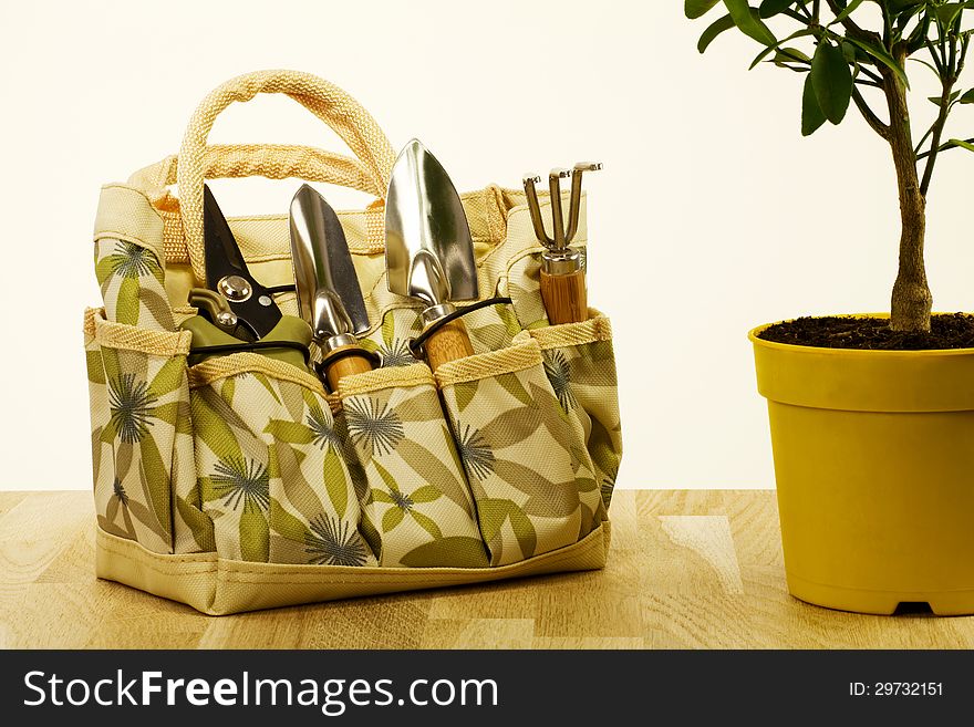 Handbag with a set of gardening tools and house plant in container
