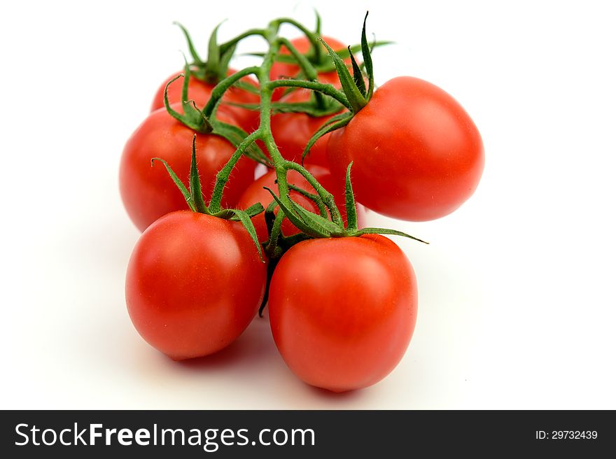 Tomatoes on a branch  on white