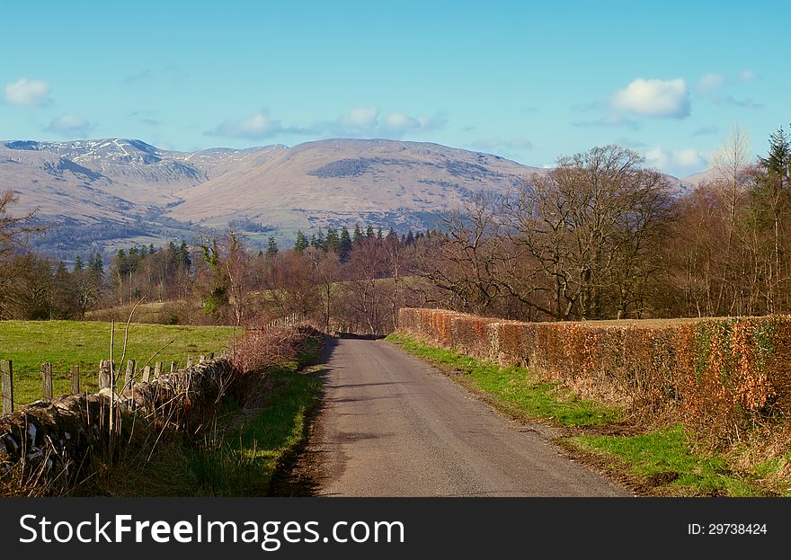 Hedge road in the direction of a forest and mountains under the bright blue sky with white clouds. Hedge road in the direction of a forest and mountains under the bright blue sky with white clouds