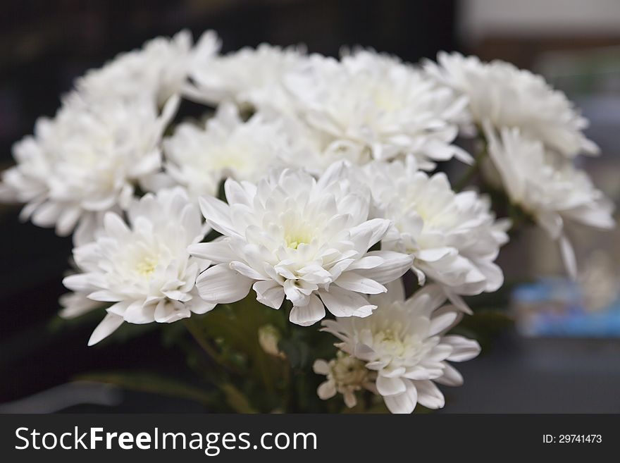 Bunch of flowers as a gift to the woman