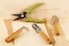 Tools To Care For Houseplants Stock Image Tools To Care For Houseplants Stock Image