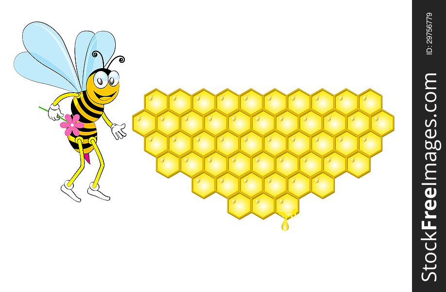 Vector bee and honeycomb. Vector illustration of honey background
