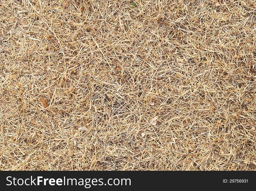 View to hay closeup as background