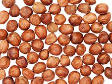 Hazelnuts Background Isolated On White. Royalty Free Stock Image Hazelnuts Background Isolated On White. Royalty Free Stock Image