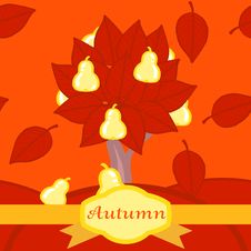 Autumn Pear Tree. Royalty Free Stock Photos Autumn Pear Tree. Royalty Free Stock Photos