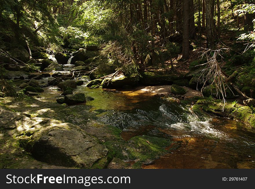 The photo shows a mountain stream flowing among the dense spruce forest on stony ground. The photo shows a mountain stream flowing among the dense spruce forest on stony ground.