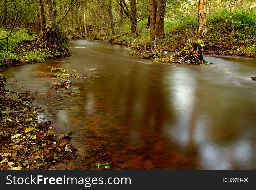 The photo shows a small river flowing through the forest. The photo shows a small river flowing through the forest.
