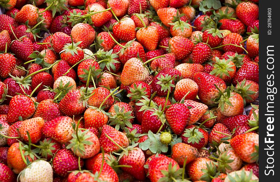 Strawberry on thai market.Strawberries fresh from the field.