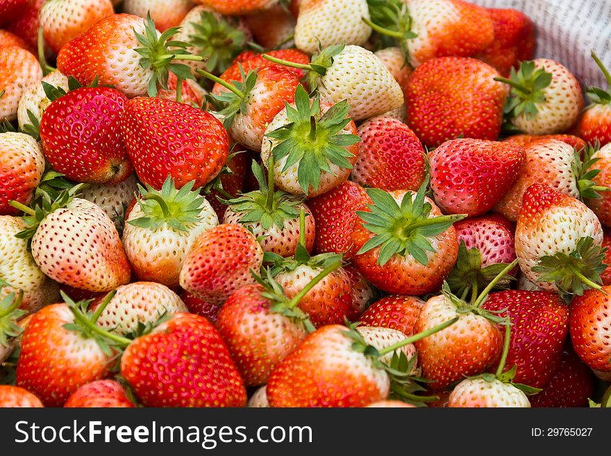 Strawberry on thai market.Strawberries fresh from the field.