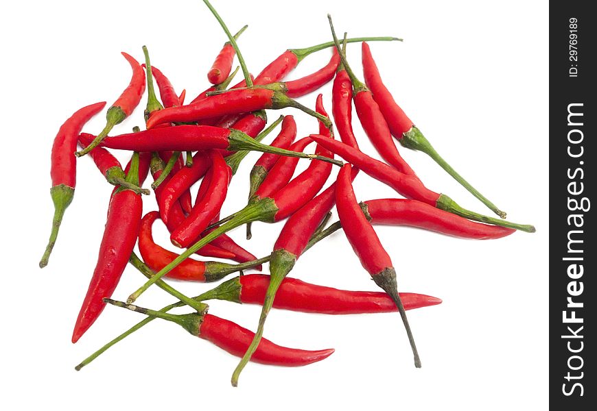 Fresh red chilli closeup on white background