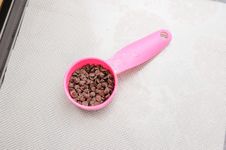 Chocolate Chip Royalty Free Stock Photos Chocolate Chip Royalty Free Stock Photos