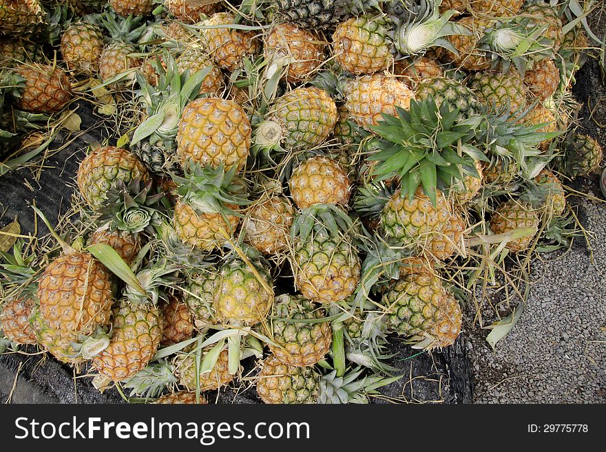 Pile Of Pineapples