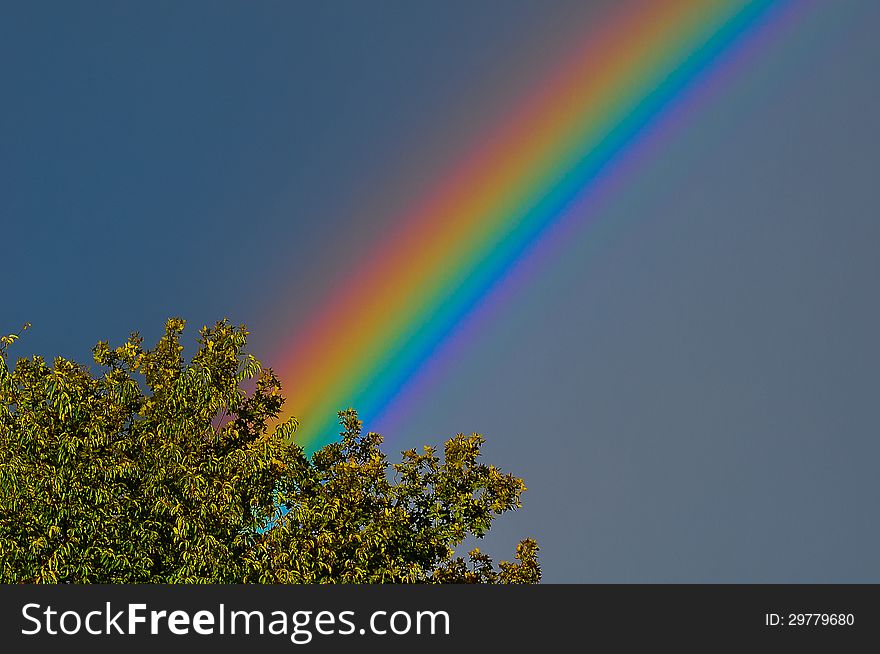 This rainbow is among the strongest in color I've ever seen. This rainbow is among the strongest in color I've ever seen