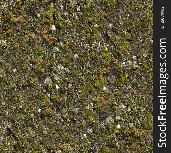 Mossy Wall Seamless Texture.