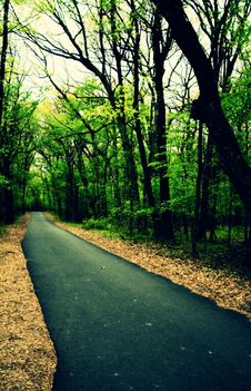 Straight Park Alley Royalty Free Stock Image Straight Park Alley Royalty Free Stock Image