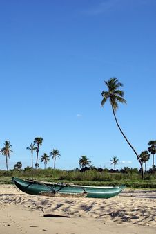 Boat And Palm Trees Stock Photography Boat And Palm Trees Stock Photography