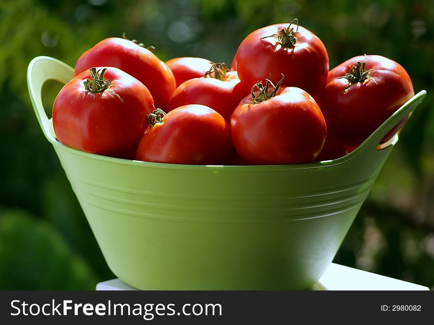 Close up on tomatoes in basket